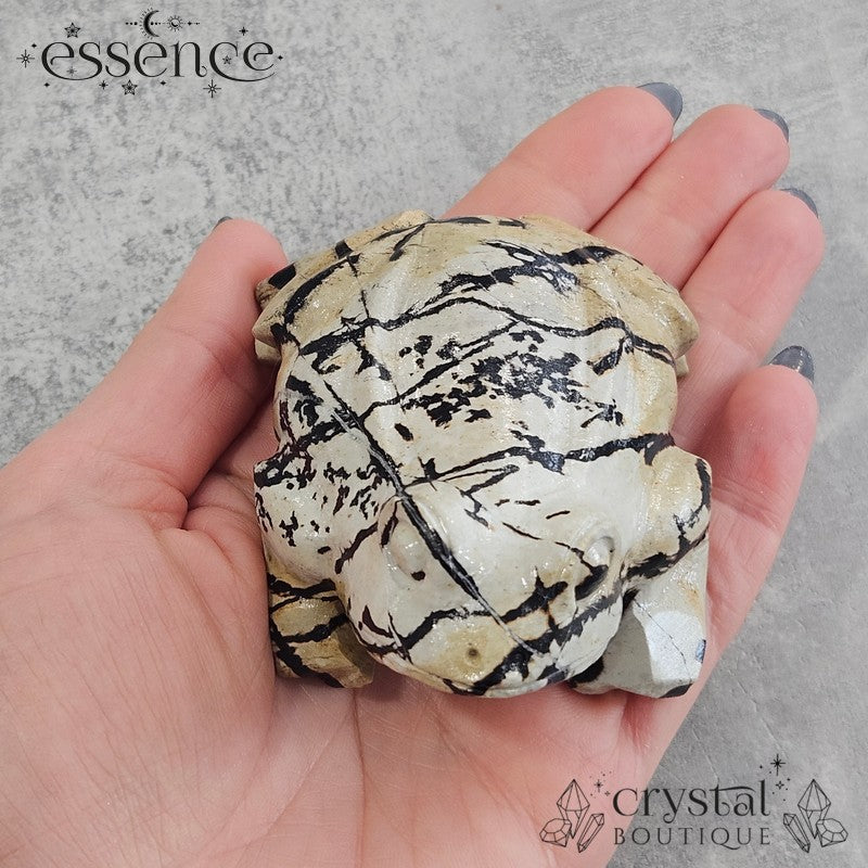 Picture Jasper Frog