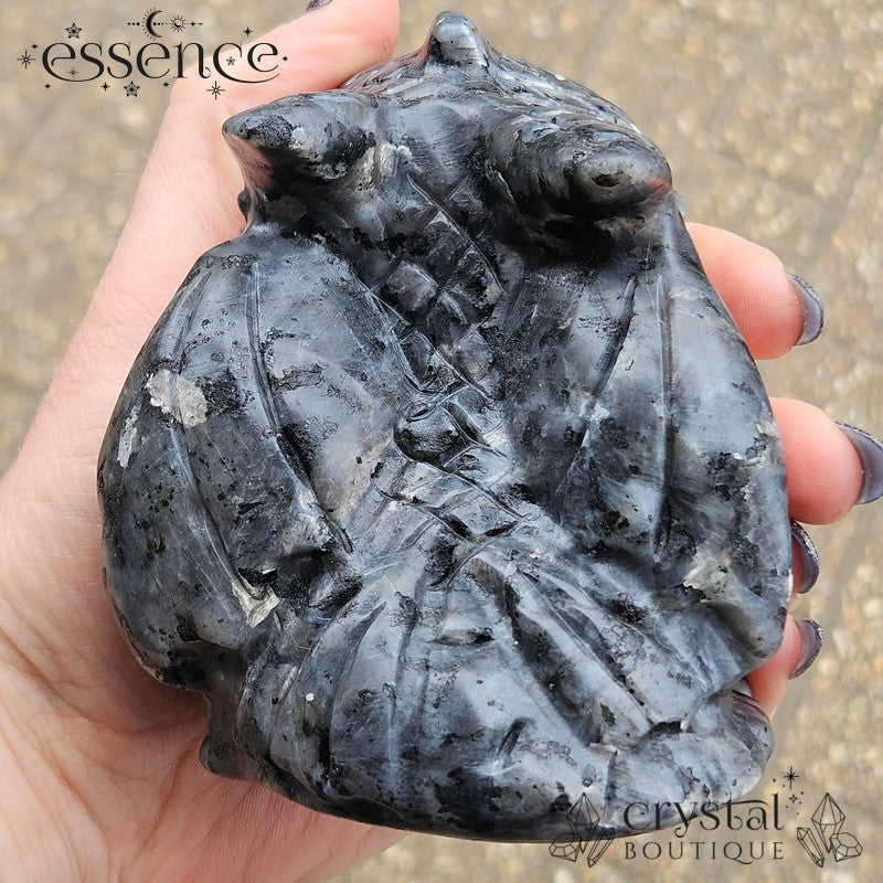 Larvikite Toothless Carving 696gm