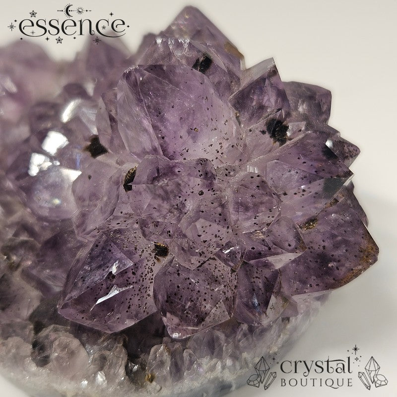 Amethyst Cluster with Hematite Inclusions
