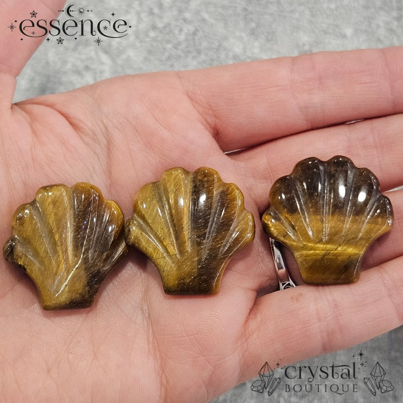 Tigers Eye Shell