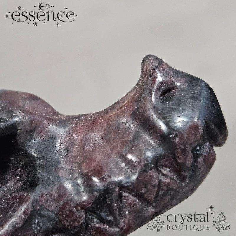 Garnet in Astrophyllite Dragon Head