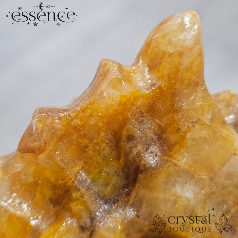 Large Golden Healer Quartz Dragon Head (631g)