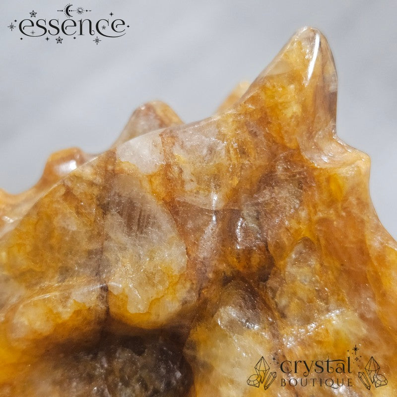 Large Golden Healer Quartz Dragon Head (631g)