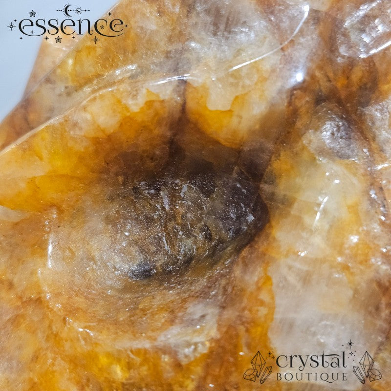 Large Golden Healer Quartz Dragon Head (631g)