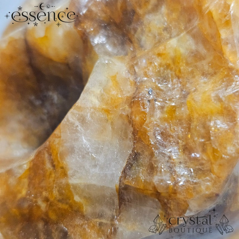 Large Golden Healer Quartz Dragon Head (631g)