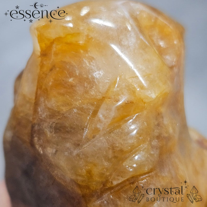 Large Golden Healer Quartz Dragon Head (631g)