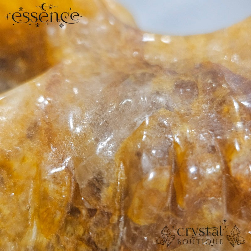 Large Golden Healer Quartz Dragon Head (631g)