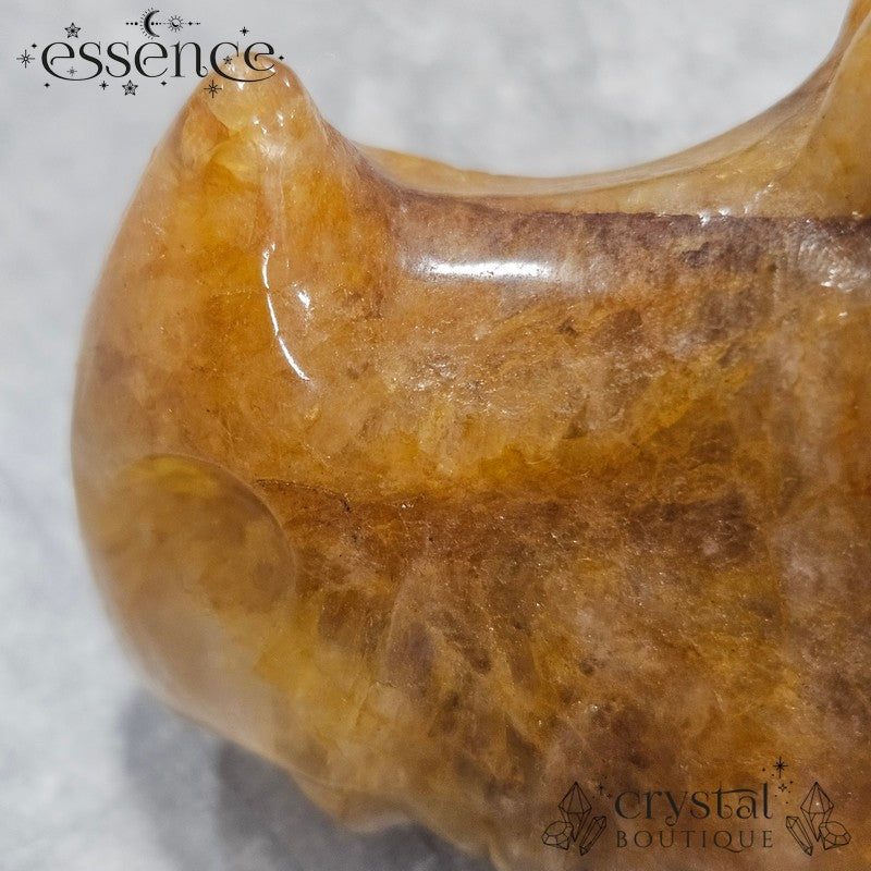 Large Golden Healer Quartz Dragon Head (631g)