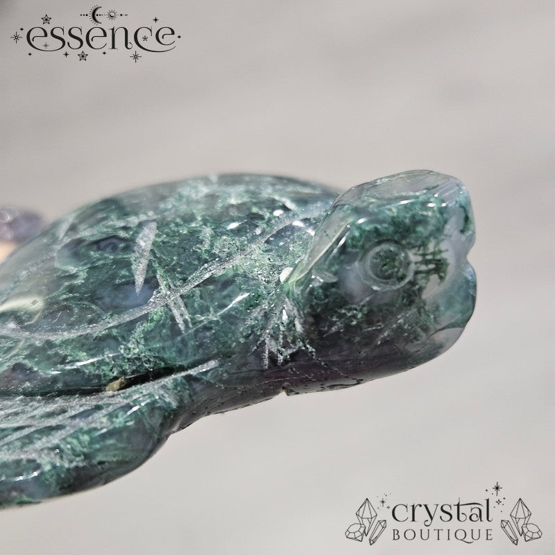 Moss Agate Turtle