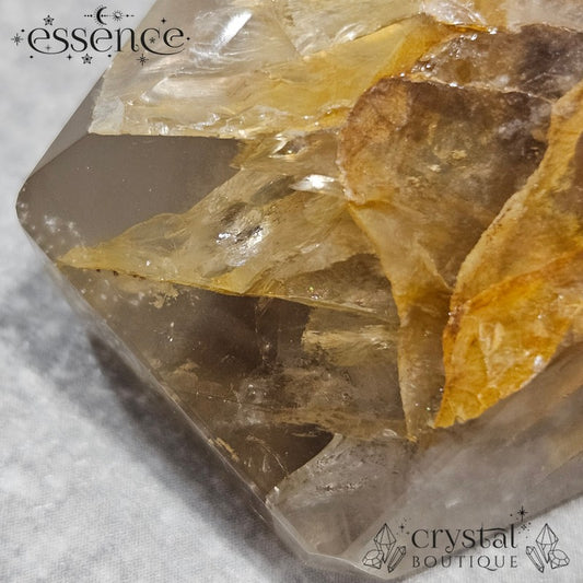 Golden Healer Freeform