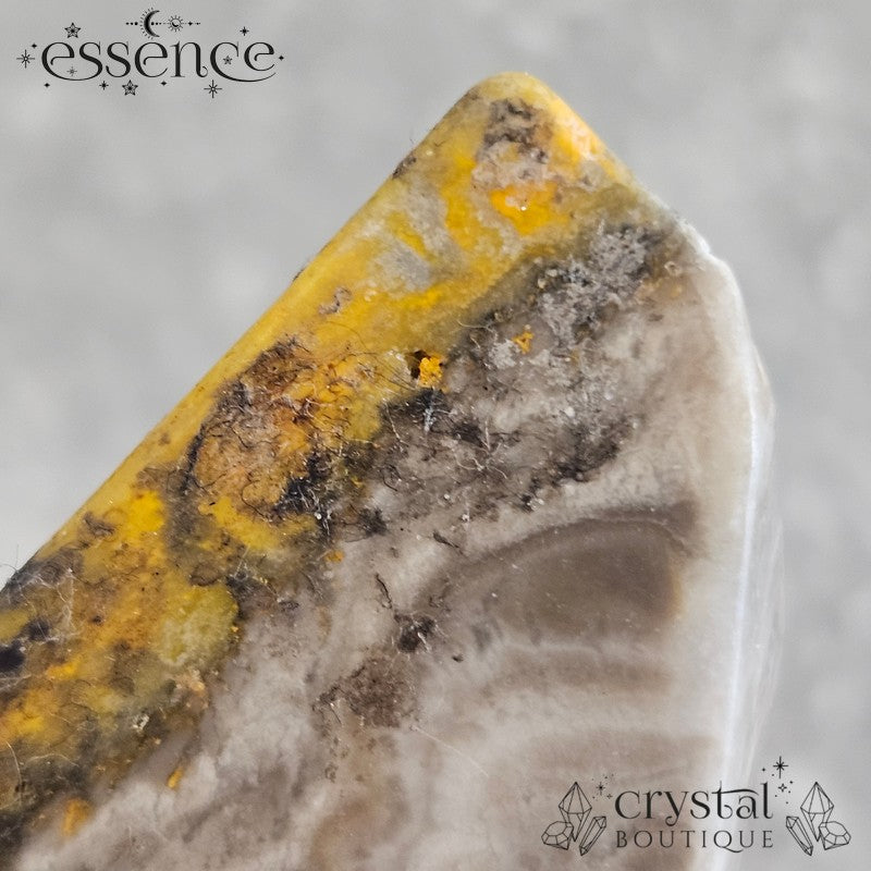 Bumblebee Jasper Free Form