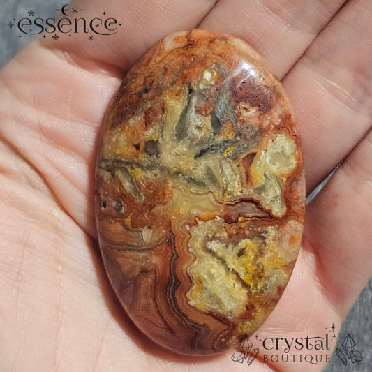 Crazy Lace Agate Palmstone