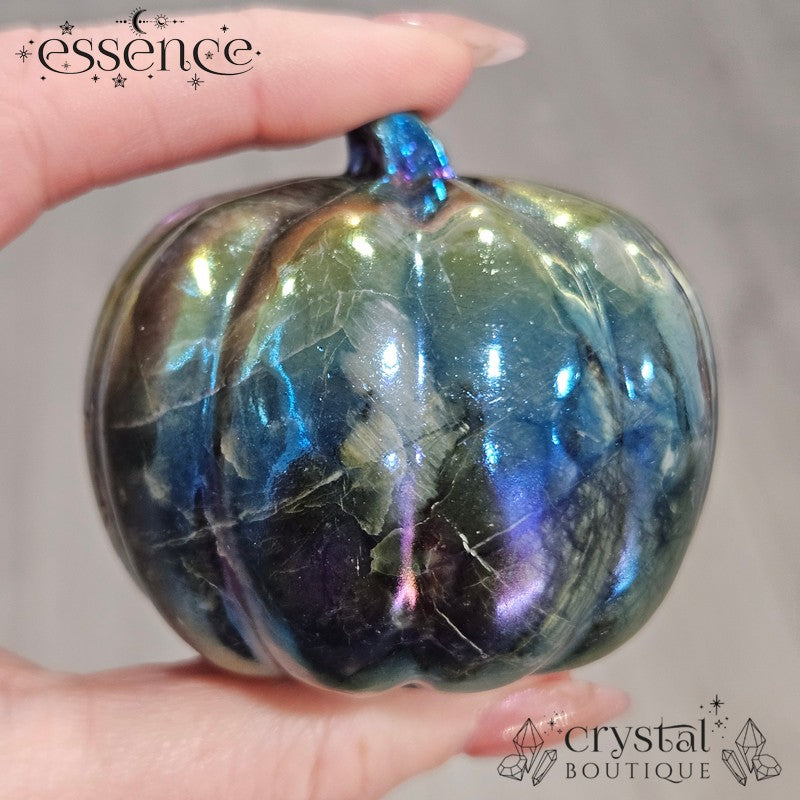 Aura Serpentine Pumpkin