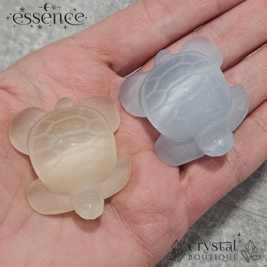 Cats Eye Glass Turtles