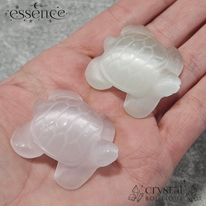 Cats Eye Glass Turtles