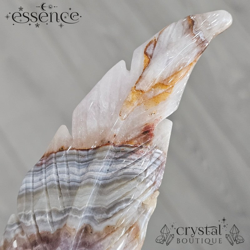 Amethyst Crazy Lace Agate Feathers