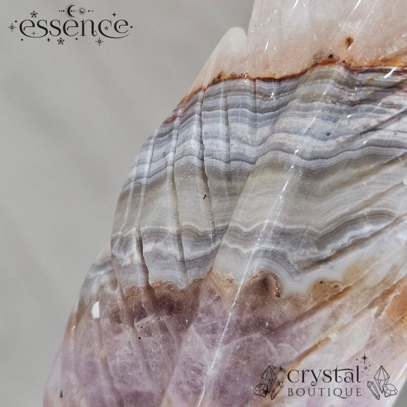 Amethyst Crazy Lace Agate Feathers