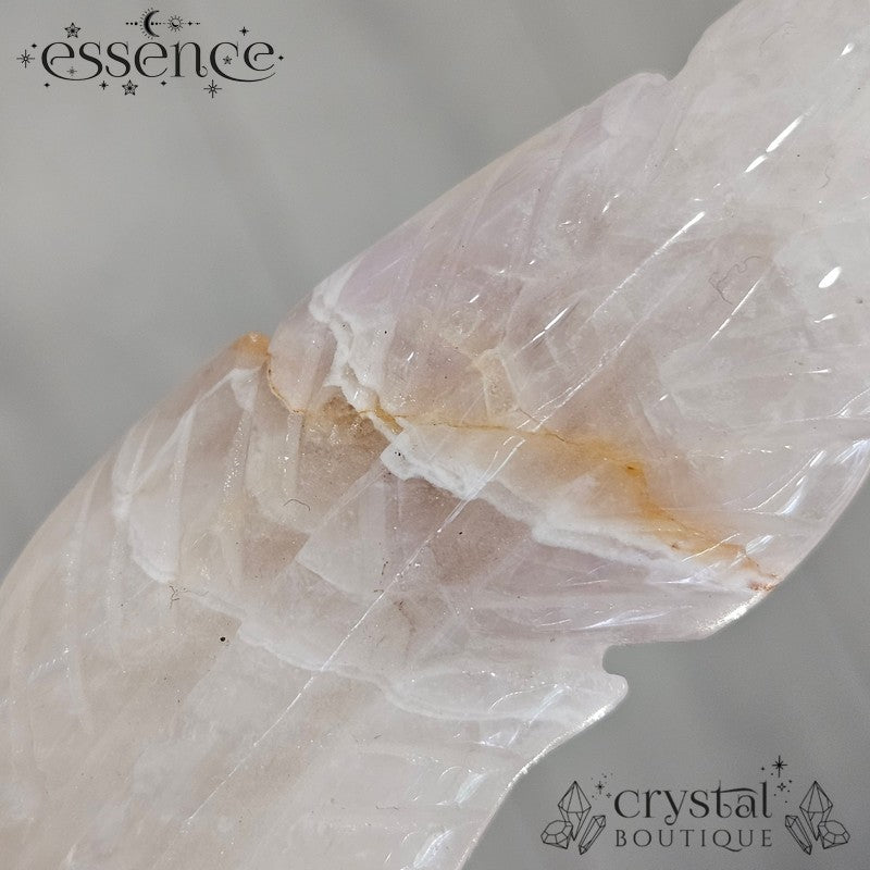 Amethyst Crazy Lace Agate Feathers