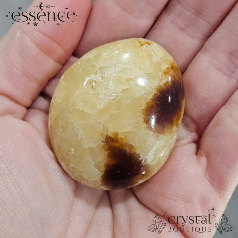 Septarian Palm Stones