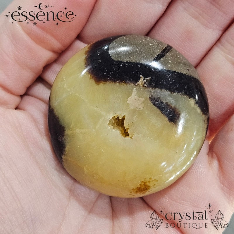 Septarian Palm Stones