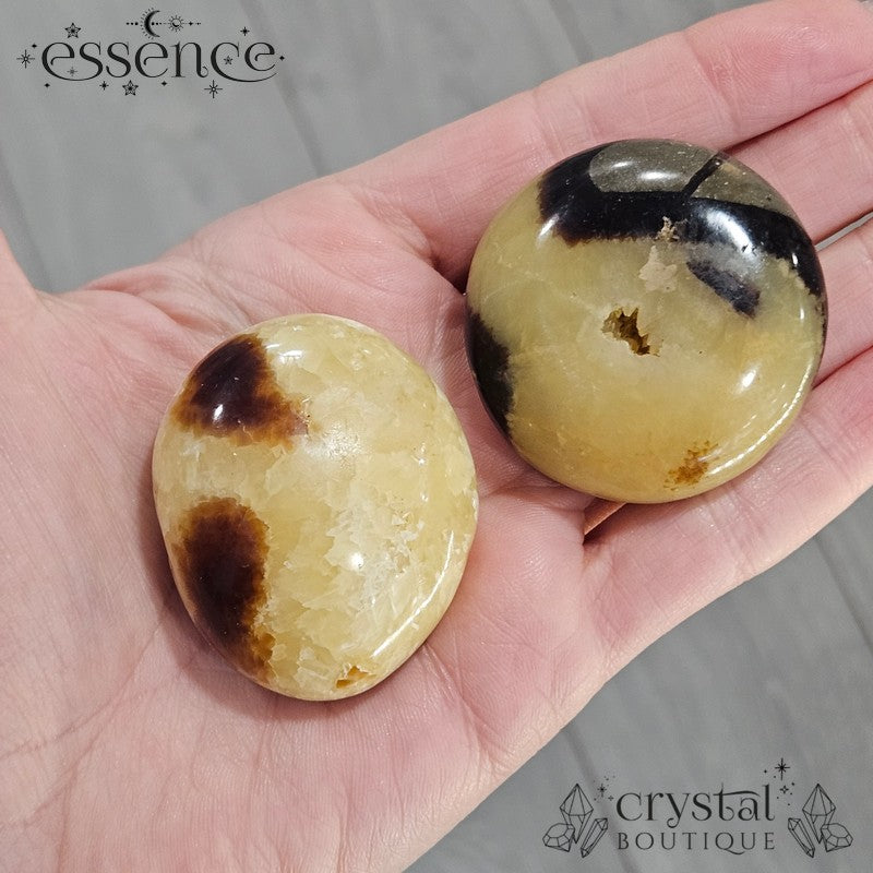 Septarian Palm Stones