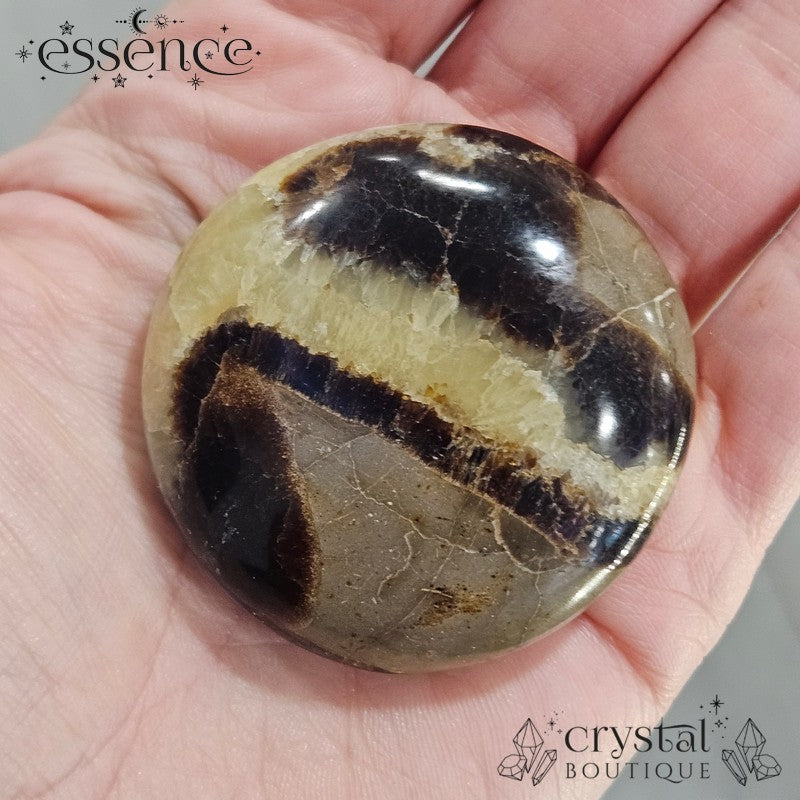 Septarian Palm Stones