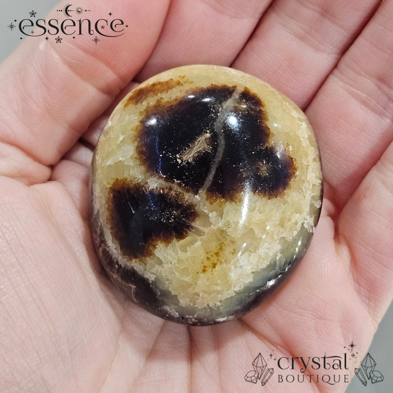 Septarian Palm Stones