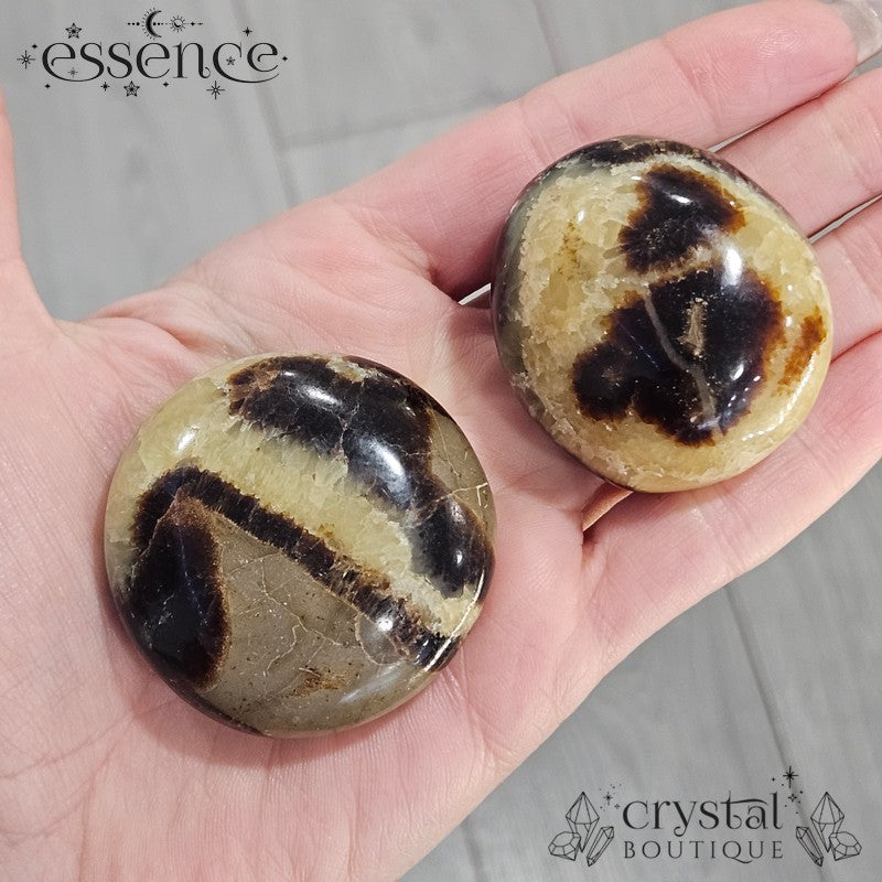 Septarian Palm Stones