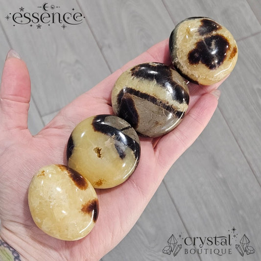 Septarian Palm Stones