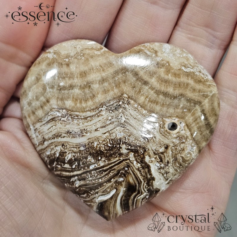 Chocolate Calcite ( Brown Aragonite) Hearts