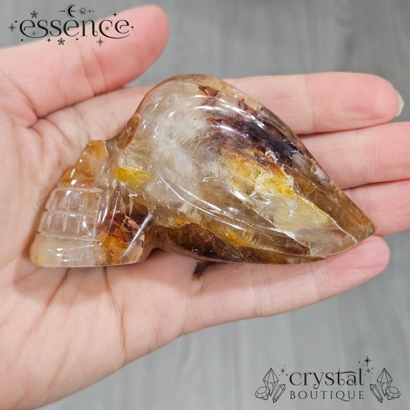 Golden Healer Travellers Skull