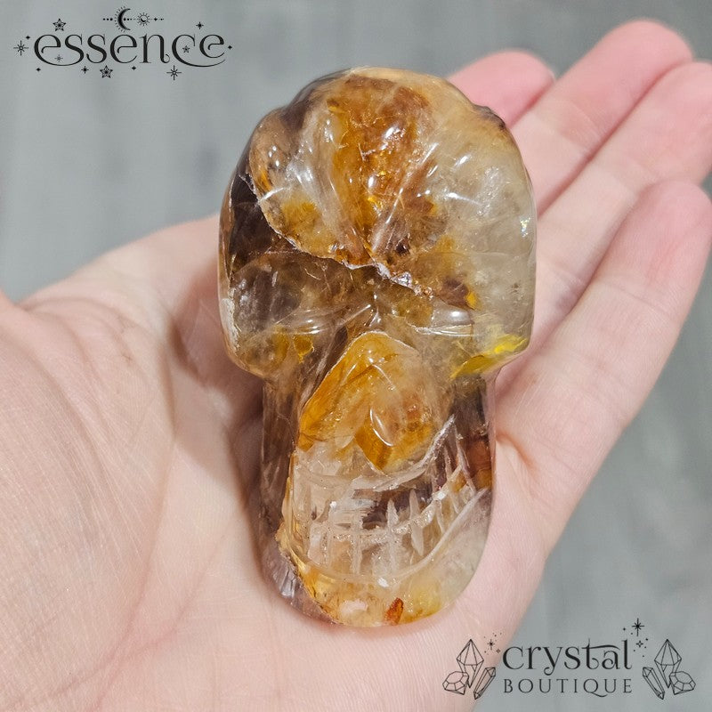 Golden Healer Travellers Skull