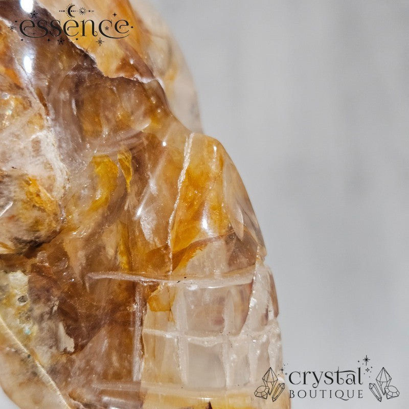 Golden Healer Travellers Skull