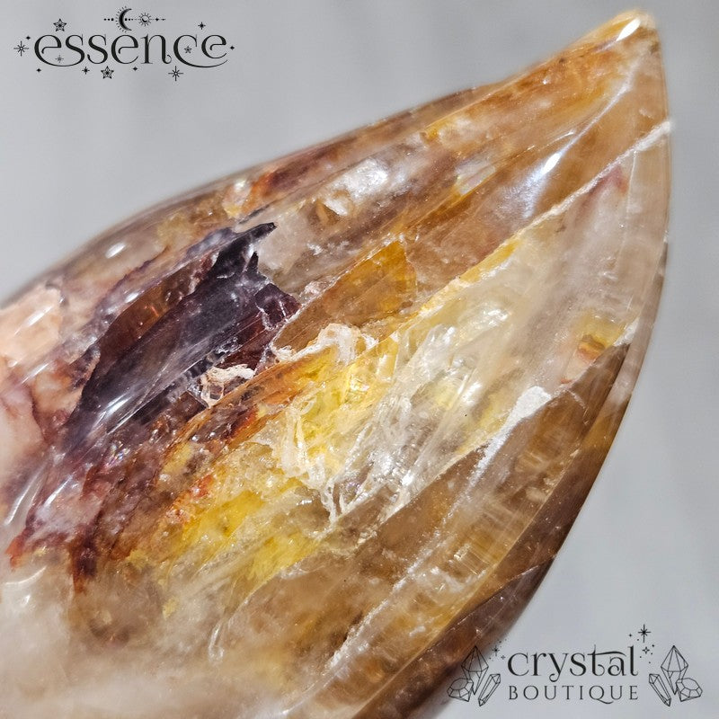 Golden Healer Travellers Skull