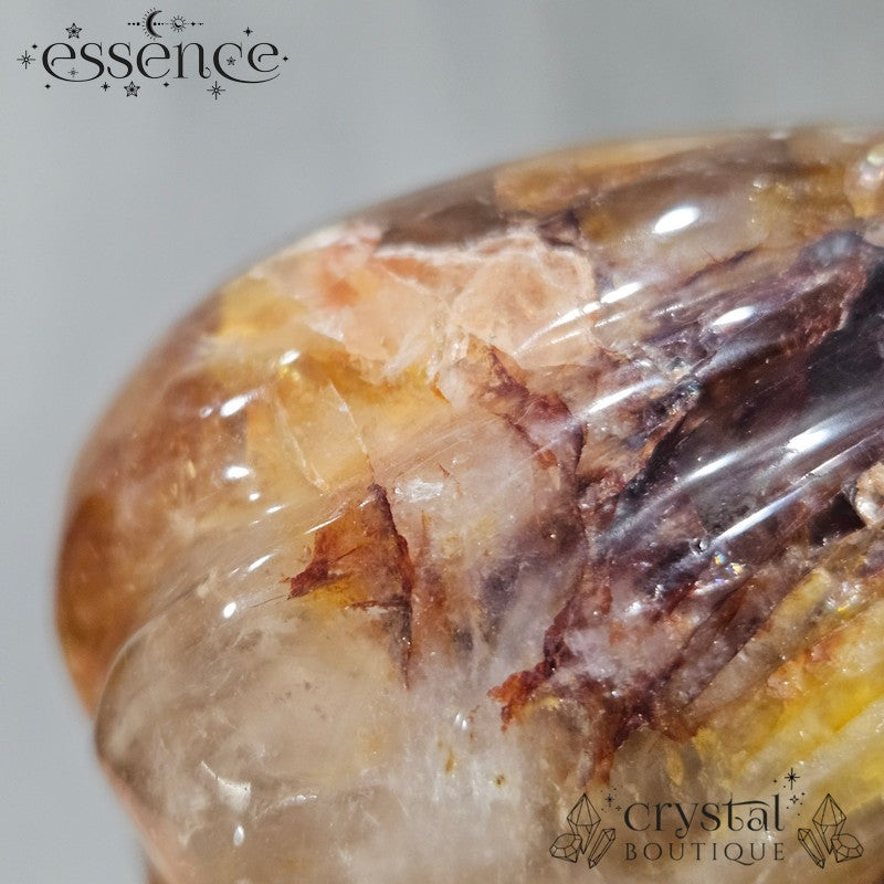 Golden Healer Travellers Skull