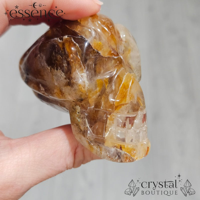 Golden Healer Travellers Skull