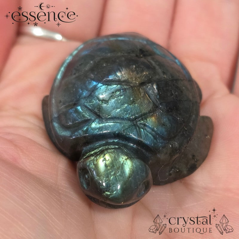Labradorite Turtle