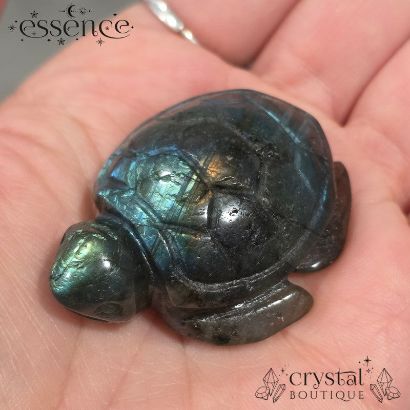 Labradorite Turtle