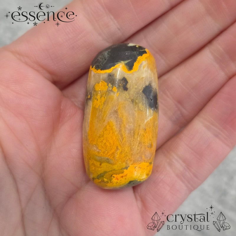Bumblebee Jasper Tumbled Stones