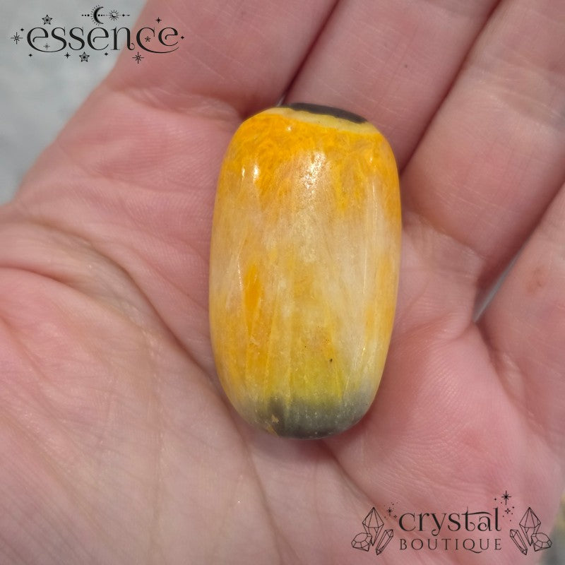 Bumblebee Jasper Tumbled Stones