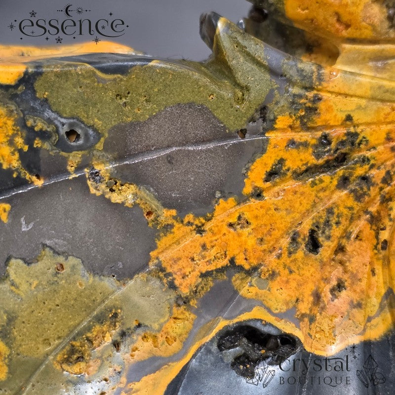 Bumblebee Jasper Dragon