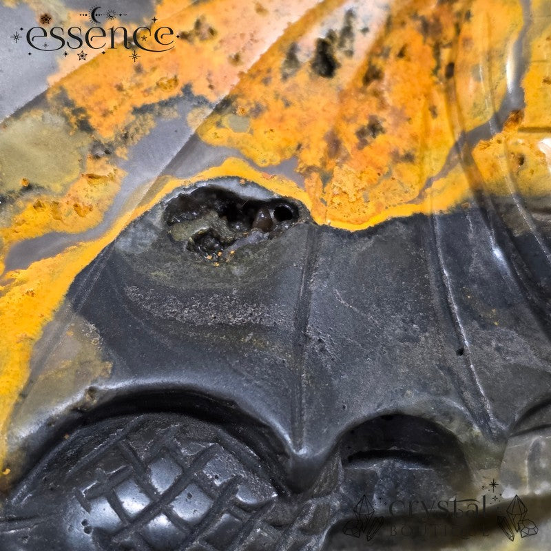 Bumblebee Jasper Dragon