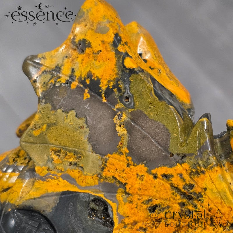 Bumblebee Jasper Dragon
