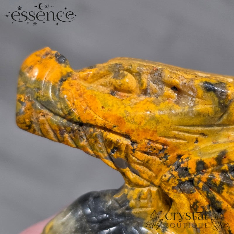 Bumblebee Jasper Dragon