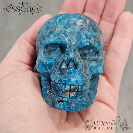 Apatite Skull 292g