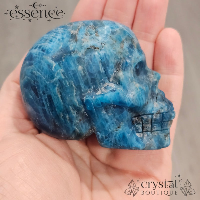 Apatite Skull 292g