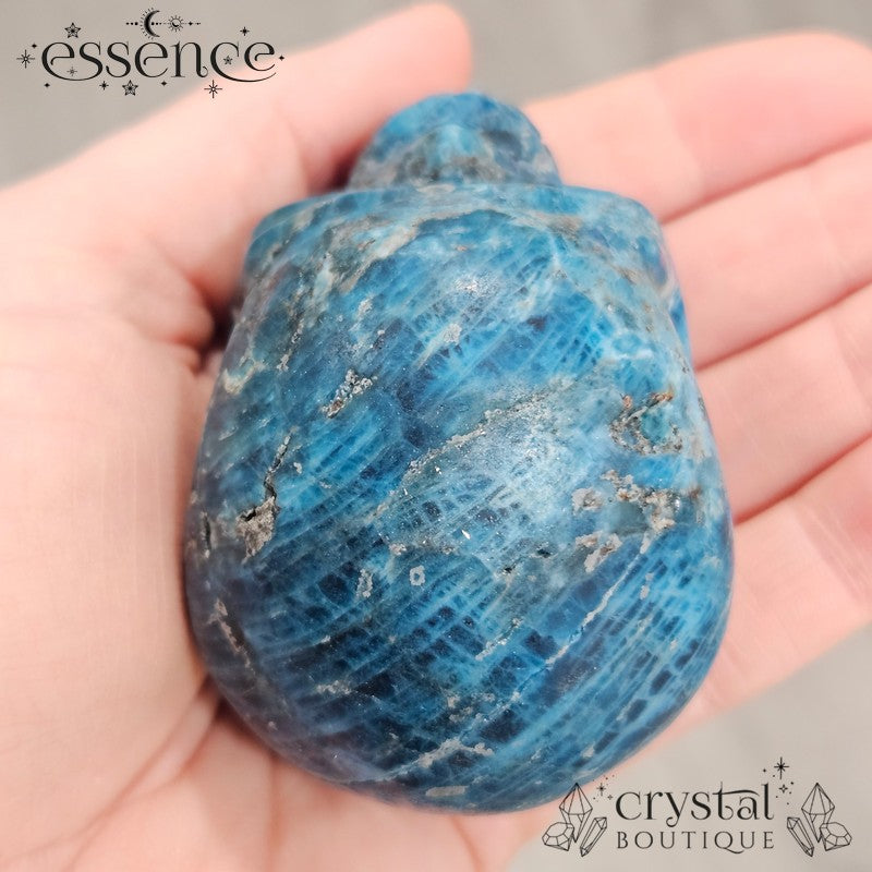 Apatite Skull 292g