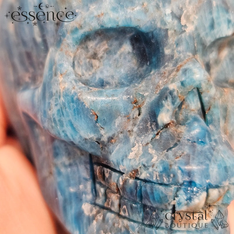 Apatite Skull 292g