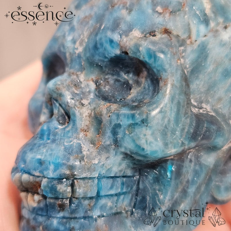 Apatite Skull 292g