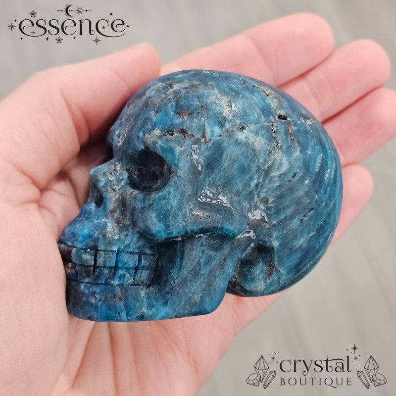 Apatite Skull 292g